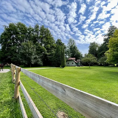 De L'yeres A - Peche Privee - Accueil 