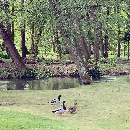 De L'yeres A - Peche Privee - Accueil 