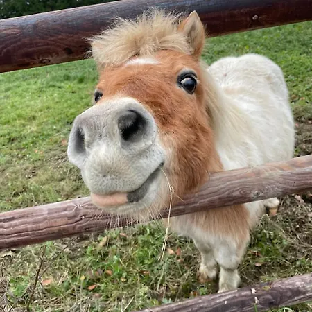 Hébergement de vacances De L'yeres *