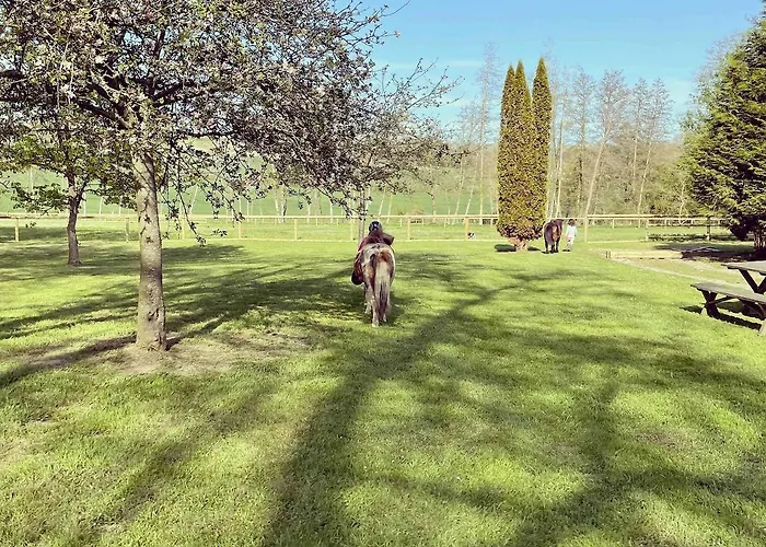 De L'yeres A - Peche Privee - Accueil 