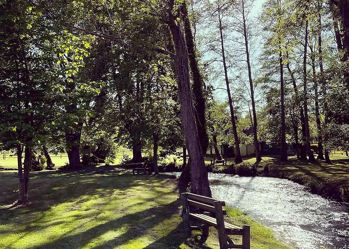 De L'yeres A - Peche Privee - Accueil 